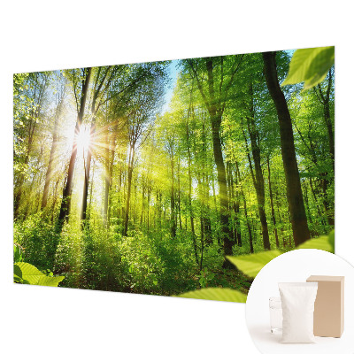 Uniek fotobehang met een boslicht-motief