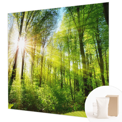 Uniek fotobehang met een boslicht-motief