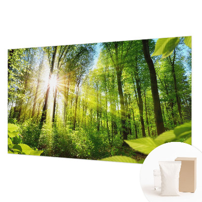 Uniek fotobehang met een boslicht-motief