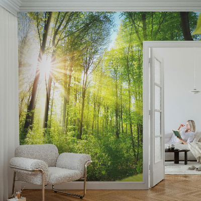 Uniek fotobehang Boslicht