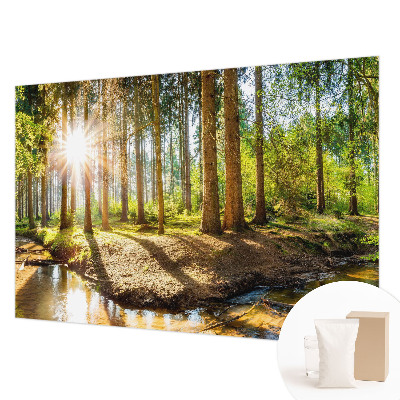 Vlies fotobehang met het motief 'Idylle in het bos'