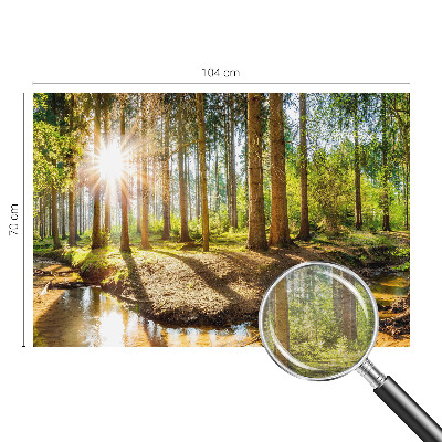 Vlies fotobehang Idylle in het bos