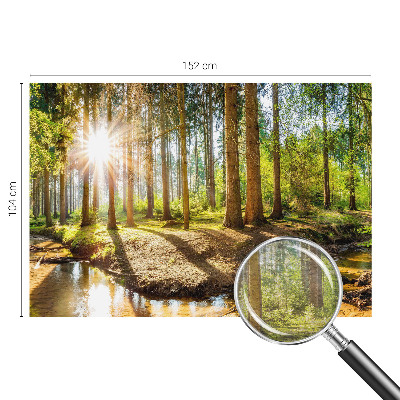 Vlies fotobehang met het motief 'Idylle in het bos'