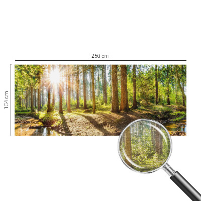 Vlies fotobehang Idylle in het bos