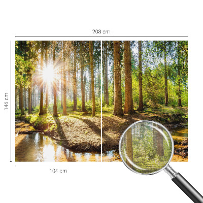 Vlies fotobehang Idylle in het bos