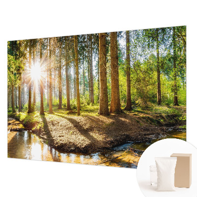 Vlies fotobehang Idylle in het bos