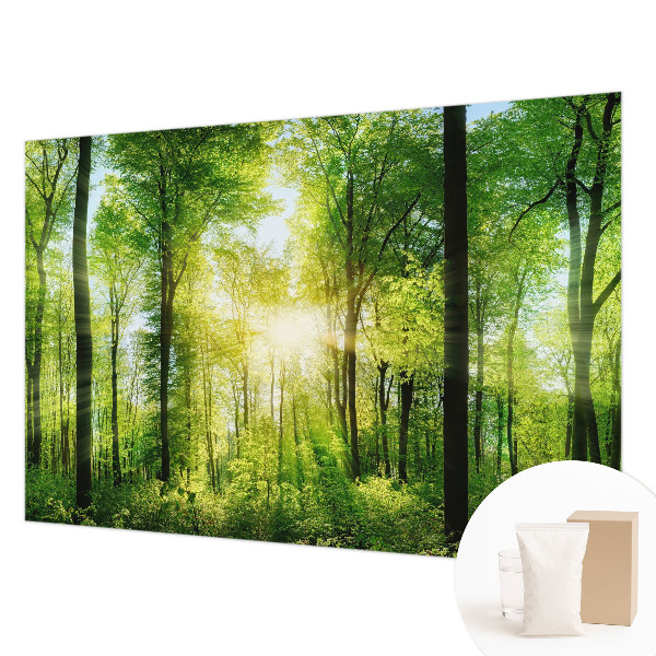 Fotobehang vlies Bosharmonie