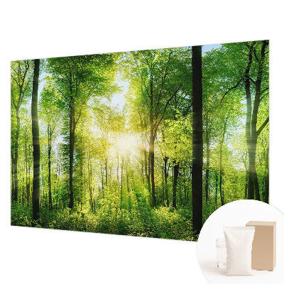 Fotobehang vlies Bosharmonie