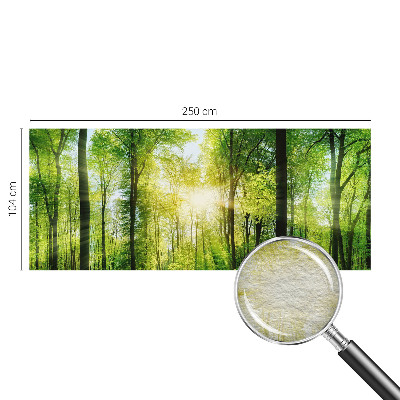 Fotobehang vlies Bosharmonie
