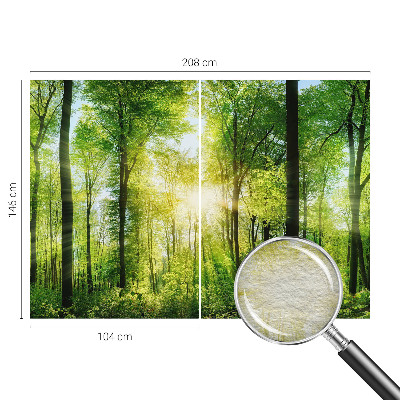 Fotobehang vlies Bosharmonie