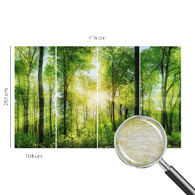 Fotobehang vlies Bosharmonie
