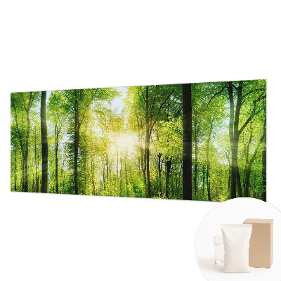 Fotobehang vlies Bosharmonie