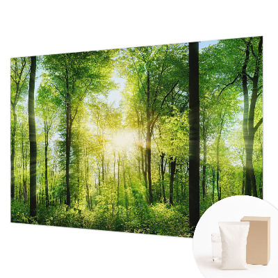 Fotobehang vlies Bosharmonie