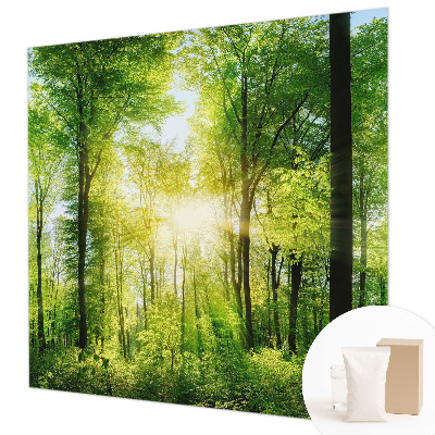 Fotobehang vlies Bosharmonie