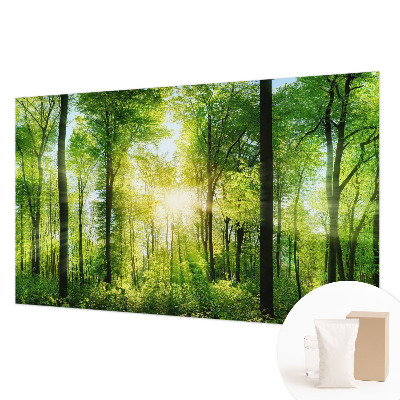 Fotobehang vlies Bosharmonie