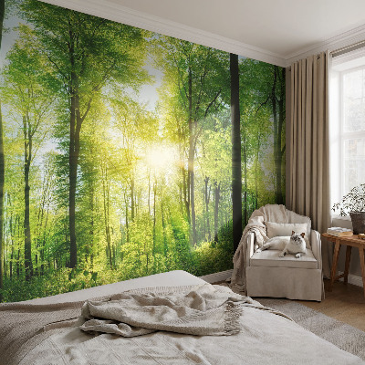 Fotobehang vlies Bosharmonie