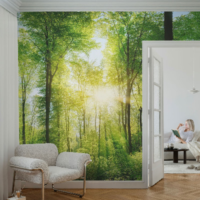Fotobehang vlies met het motief 'Bosharmonie'