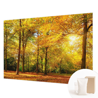 Vlies fotobehang op maat Gouden bladeren