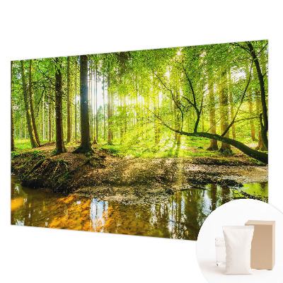 Muur behang Groen landschap