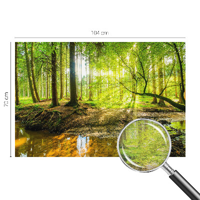 Muur behang Groen landschap
