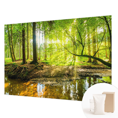 Muur behang Groen landschap