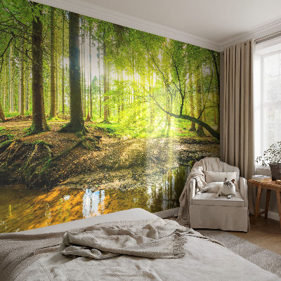Muur behang Groen landschap