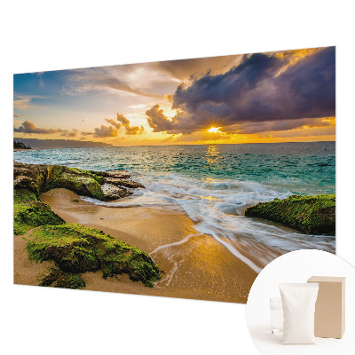 Behang met print Maritieme harmonie