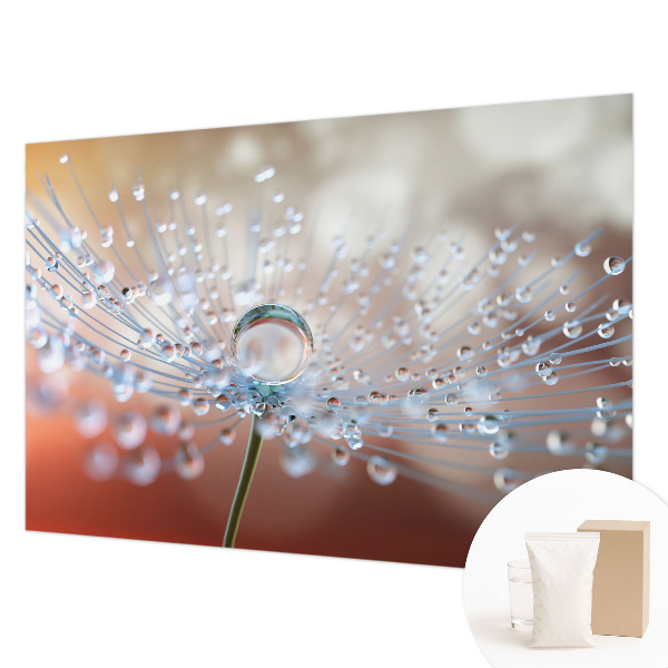 Modern fotobehang voor de woonkamer Een druppel op een paardenbloem