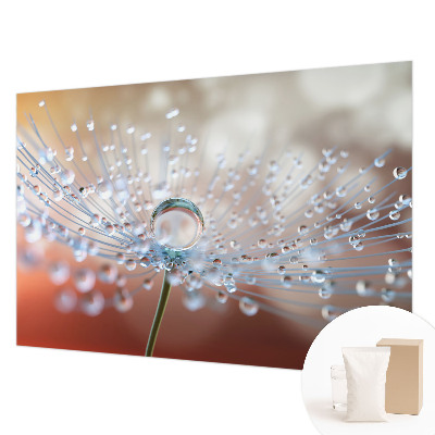 Modern fotobehang voor de woonkamer met een afbeelding van een druppel op een paardenbloem