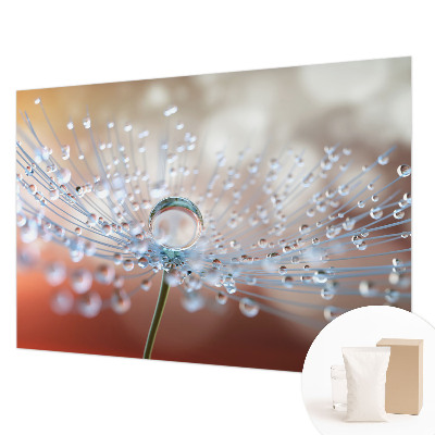 Modern fotobehang voor de woonkamer Een druppel op een paardenbloem