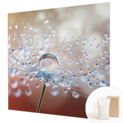 Modern fotobehang voor de woonkamer Een druppel op een paardenbloem