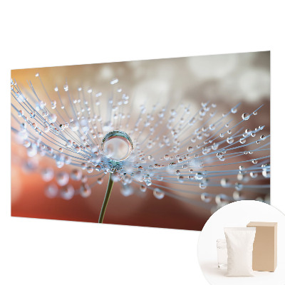 Modern fotobehang voor de woonkamer Een druppel op een paardenbloem