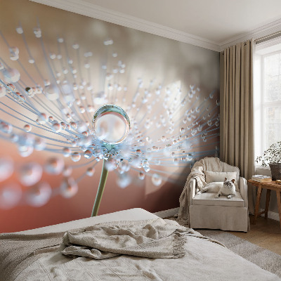 Modern fotobehang voor de woonkamer Een druppel op een paardenbloem