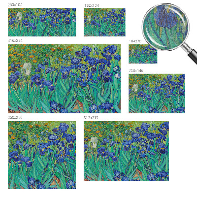 Kwalitatief fotobehang Tuinbloemen