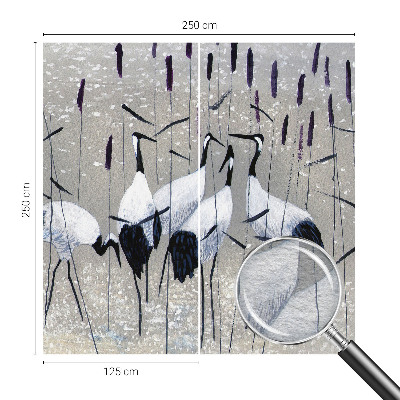 Fotobehang woonkamer Harmonieuze kraanvogels