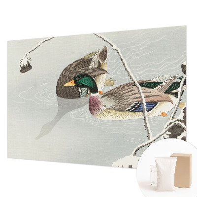 Fotobehang voor slaapkamer Rustige eenden