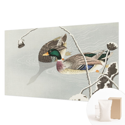 Fotobehang voor slaapkamer Rustige eenden