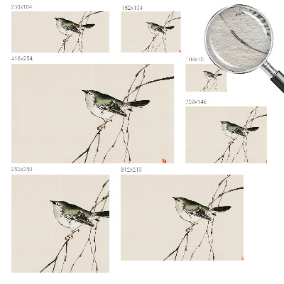 Luxe fotobehang Harmonieuze vogel