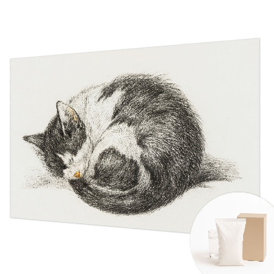 Fotobehang vliesbehang met een schattig katje als motief