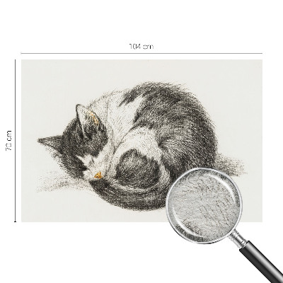 Fotobehang vliesbehang Schattig katje