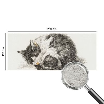 Fotobehang vliesbehang Schattig katje
