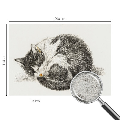 Fotobehang vliesbehang Schattig katje