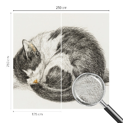 Fotobehang vliesbehang Schattig katje