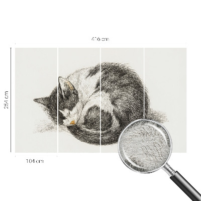 Fotobehang vliesbehang Schattig katje