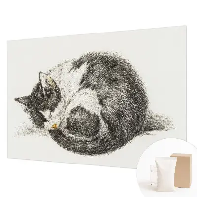 Fotobehang vliesbehang met een schattig katje als motief