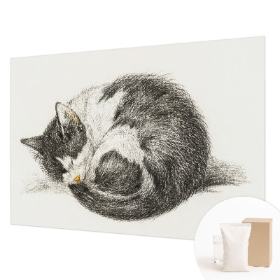 Fotobehang vliesbehang Schattig katje