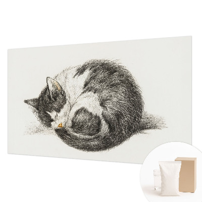 Fotobehang vliesbehang met een schattig katje als motief