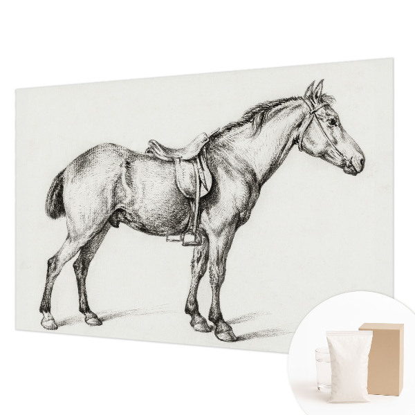 Fotobehang vlies Schets van een paard