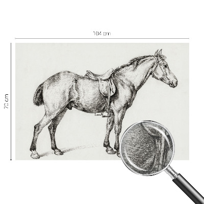 Fotobehang vlies met een schets van een paard