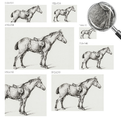 Fotobehang vlies Schets van een paard